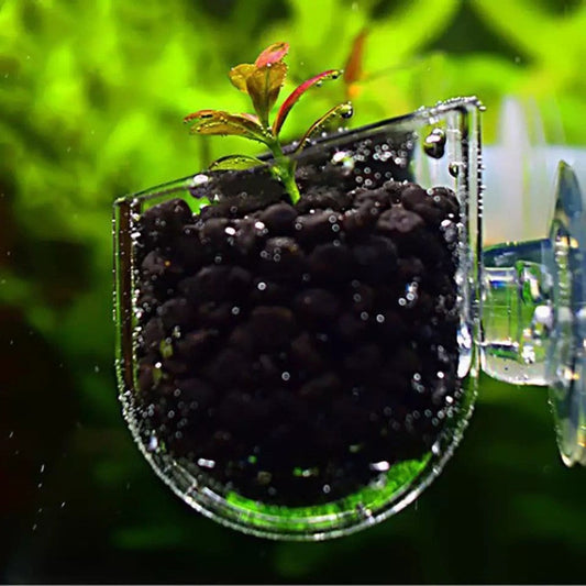 1” Transparent Aquarium Planter (1” Diameter) | Aquatic Plant Pot