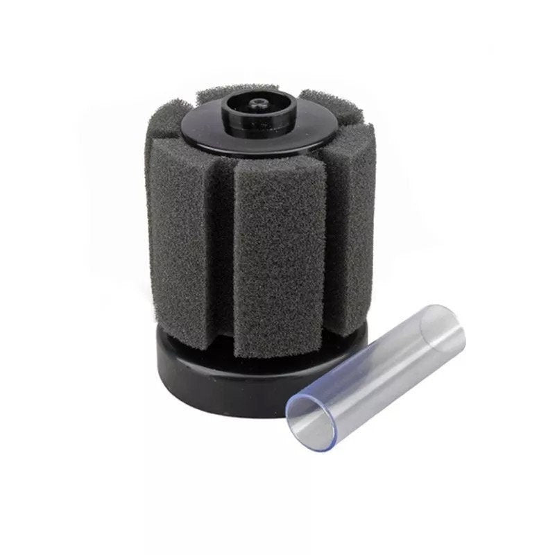 Sponge Filter for Shrimp, Fry, Nano& Small Aquariums! |