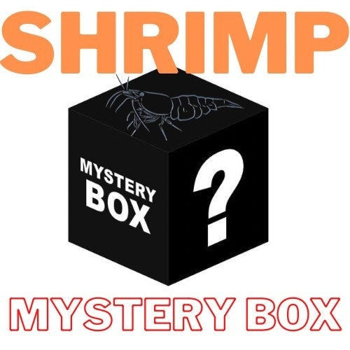 Shrimp Mystery Box | Small & Medium