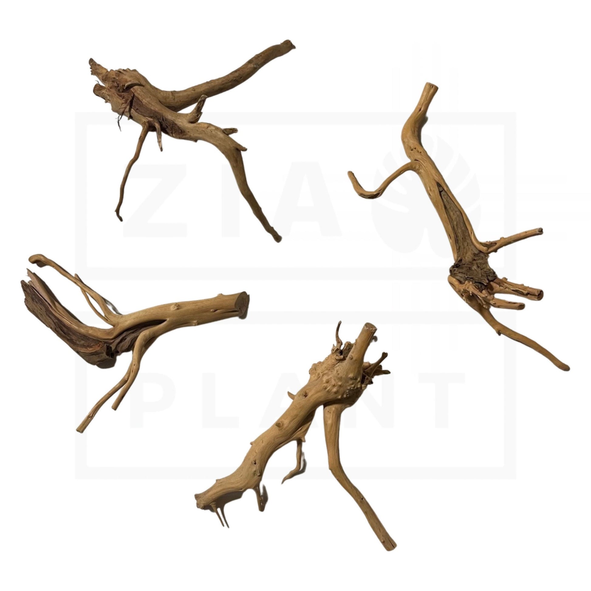 Spider Wood | S & M Sizes! For Aquarium, Terrarium, Vivarium, and Reptile Use!